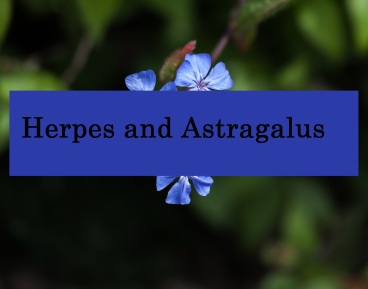 astragalus herpes